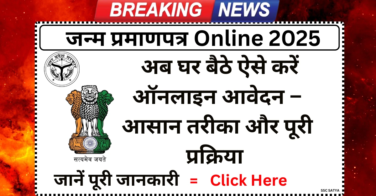 Birth Certificate Online 2025
