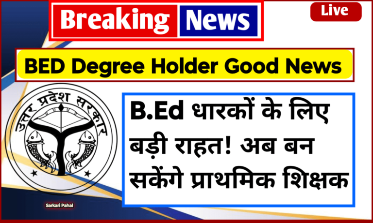 BED Degree Holder Good News