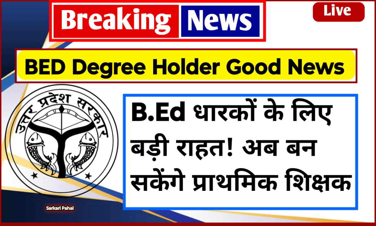 BED Degree Holder Good News